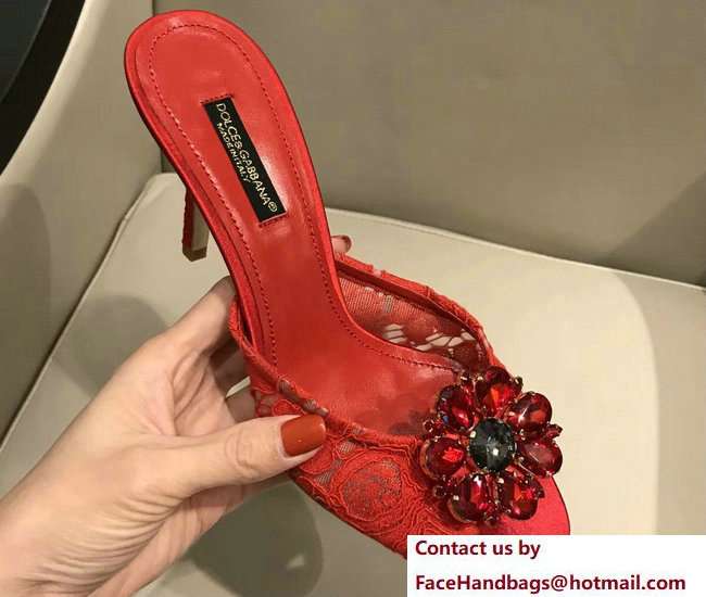 Dolce & Gabbana Heel 7cm Slippers Red In Lace With Crystals 2018